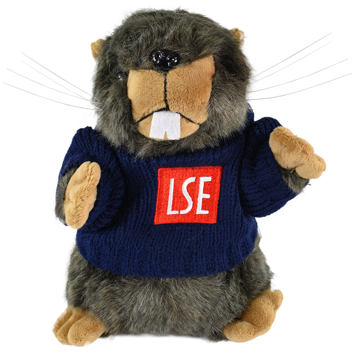 LSE Beaver Soft Toy – The Ultimate Campus Companion