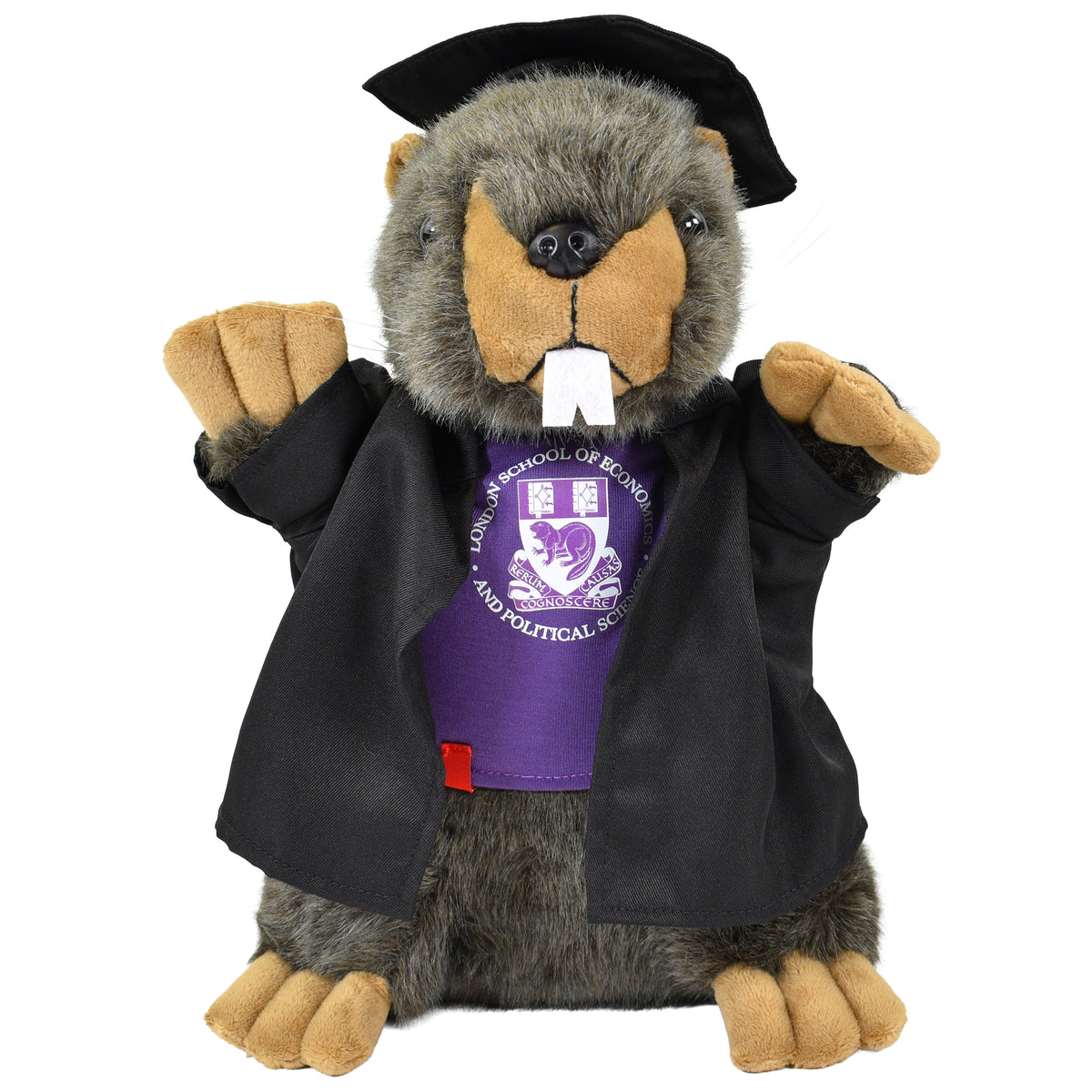 Graduation Beaver