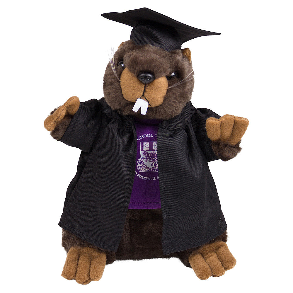 Graduation Beaver